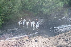 Crossing the lava corridors in Sicily - RANDOCHEVAL