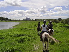 Randonnée équestre au Sri Lanka - Randocheval / Absolu Vosyages