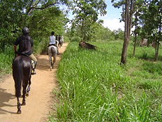 Randonnée équestre au Sri Lanka - Randocheval / Absolu Vosyages