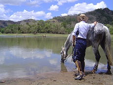 Baignade dans la lac - Randonnée équestre au Sri Lanka - Randocheval / Absolu Vosyages