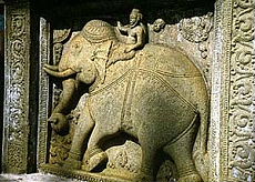 Randonn&eacute;e &eacute;questre au Sri Lanka - Randocheval / Absolu Vosyages