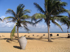 Sri Lanka - RANDOCHEVAL