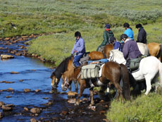 Le monde à cheval avec Randocheval : randonnée en pays Ixil au Guatemala