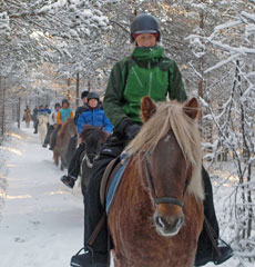 Horse riding trail in Lapland - Randocheval