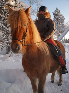 Randonn&eacute;e hivernale en Laponie - Randocheval