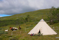 RANDOCHEVAL - Campement tente lavvu en Laponie suedoise