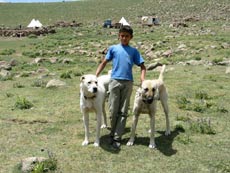 RANDOCHEVAL - Randonn&eacute;e &eacute;questre en Cappadoce