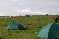 Campement avec chevaux &agrave; l'attache, randonn&eacute;e &eacute;questre en Turquie r&eacute;gion de l'Anatolie - Randocheval