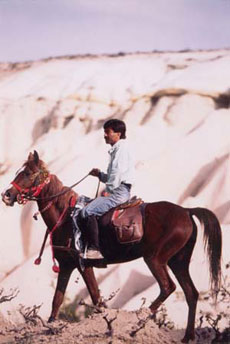 A cheval en Turquie - Randocheval