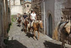 RANDOCHEVAL - Randonn&eacute;e &eacute;questre en Cappadoce
