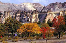 Paysages superbes de Cappadoce, &agrave; d&eacute;couvrir pour les non cavaliers au d&eacute;part de l'h&ocirc;tel de notre randonn&eacute;e "Cappadoce de Charme" - Rando Cheval / Absolu Voyage