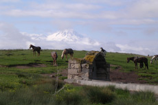 RANDOCHEVAL - Randonn&eacute;e &eacute;questre en Cappadoce