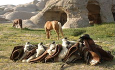 RANDOCHEVAL - Randonn&eacute;e &eacute;questre en Cappadoce