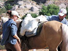 Selle utilis&eacute;e lors des voyages &eacute;questres en Cappadoce -Turquie - Randocheval