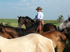 Dakota du Sud - rassemblement de chevaux : Randocheval