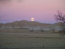 Dakota Sud - Immersion en ranch - lever du soleil dans les  Badlands : Randocheval