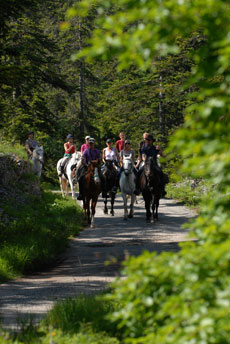 D&eacute;couverte des Hauts Plateaux du Vercors &agrave; cheval - Eric Minodier