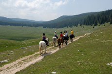 Vercors &agrave; cheval - Eric Minodier