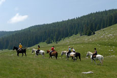 D&eacute;couverte des Hauts Plateaux du Vercors &agrave; cheval - Eric Minodier