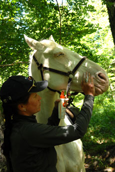 Vercors &agrave; cheval - Eric Minodier