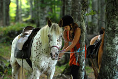 Vercors &agrave; cheval - Eric Minodier