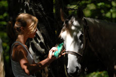 D&eacute;couverte des Hauts Plateaux du Vercors &agrave; cheval - Eric Minodier