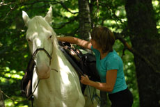 Vercors &agrave; cheval - Eric Minodier