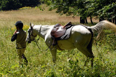 Vercors &agrave; cheval - Eric Minodier