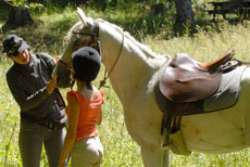 Vercors &agrave; cheval - Eric Minodier