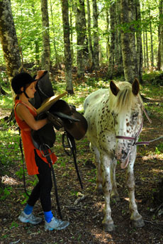 Vercors &agrave; cheval - Eric Minodier