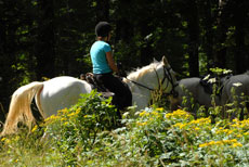 Vercors &agrave; cheval - Eric Minodier