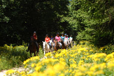 D&eacute;couverte des Hauts Plateaux du Vercors &agrave; cheval - Eric Minodier