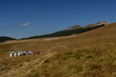 D&eacute;couverte des Hauts Plateaux du Vercors &agrave; cheval - Randocheval / Absolu Voyages