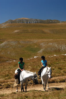 D&eacute;couverte des Hauts Plateaux du Vercors &agrave; cheval - Randocheval / Absolu Voyages
