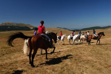 D&eacute;couverte des Hauts Plateaux du Vercors &agrave; cheval - Randocheval / Absolu Voyages