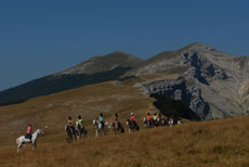 Vercors &agrave; cheval - Eric Minodier