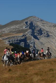 D&eacute;couverte des Hauts Plateaux du Vercors &agrave; cheval - Randocheval / Absolu Voyages
