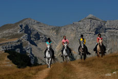 D&eacute;couverte des Hauts Plateaux du Vercors &agrave; cheval - Randocheval / Absolu Voyages