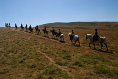 D&eacute;couverte des Hauts Plateaux du Vercors &agrave; cheval - Randocheval / Absolu Voyages