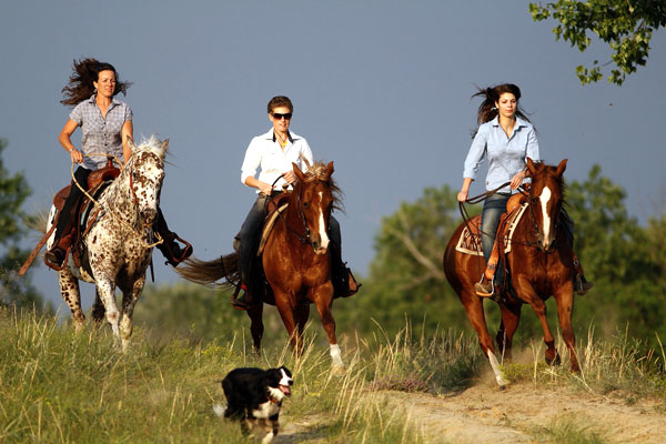 randonnee cheval hongrie