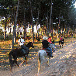 randonnee cheval toulon