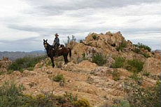 Randonn&eacute;e &eacute;questre au pays des Apaches en Arizona (USA) - Rando Cheval