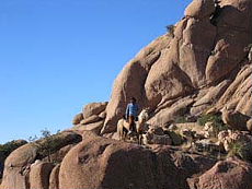 Randonn&eacute;e &eacute;questre au pays des Apaches en Arizona (USA) - Rando Cheval