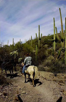 Randonn&eacute;e &eacute;questre au pays des Apaches en Arizona (USA) - Rando Cheval