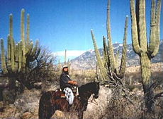 Randonn&eacute;e &eacute;questre au pays des Apaches en Arizona (USA) - Rando Cheval