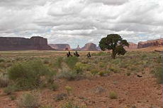 Randonn&eacute;e &eacute;questre, voyage &agrave; cheval &agrave; Monument Valley - Rando Cheval