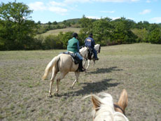 Petit galop sur un beau terrain plat - RANDOCHEVAL