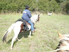 Randonnée équestre dans les Abruzzes - RANDOCHEVAL