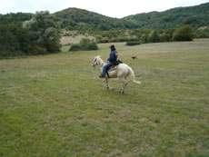 Randonnée équestre dans les Abruzzes - RANDOCHEVAL