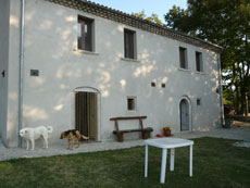 Randonnée équestre dans les Abruzzes - RANDOCHEVAL